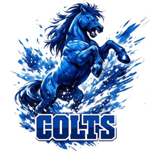 (2 Qty) Colts Mascot DTF transfer