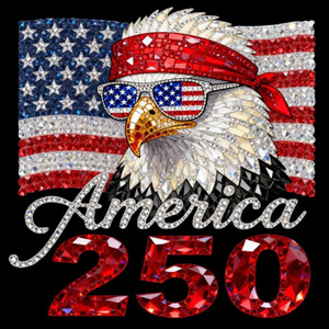 (2 Qty) USA Eagle 250 - DTF transfer