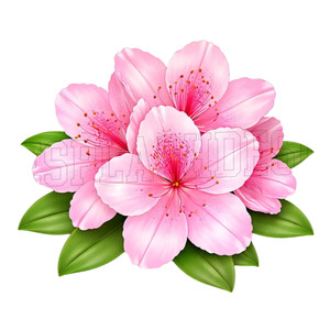 (2 Qty) Flowers - DTF transfer