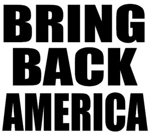 BRING BACK AMERICA - Vinyl Transfer