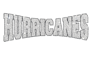 Hurricanes Mascot Rhinestone Transfer Iron On