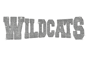 Wildcats Mascot Transfer 