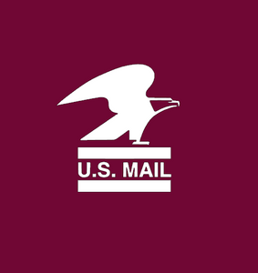 (2 Qty) U.S. MAIL 4" Eagle on top USPS Hat DTF Transfer (white) (2 Qty) U.S. MAIL 4" Eagle on top USPS Hat DTF Transfer (white)