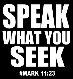 (2 qty) SPEAK WHAT YOU SEEK - custom vinyl transfe