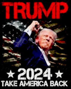 (2 Qty) Trump 2024 Take America Back - custom DTF Transfer (2 Qty) Trump 2024 Take America Back - custom DTF Transfer