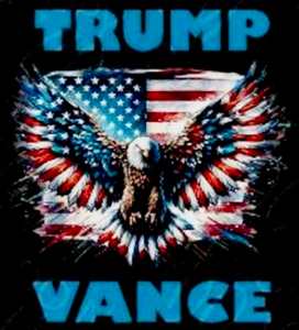 (2 Qty) Trump Vance USA Eagle - custom DTF Transfer (2 Qty) Trump Vance USA Eagle - custom DTF Transfer