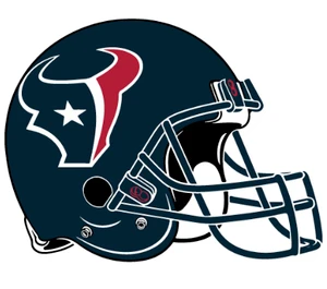 (2 Qty) Houston TEXANS Helmet - custom Football sports DTF transfer
