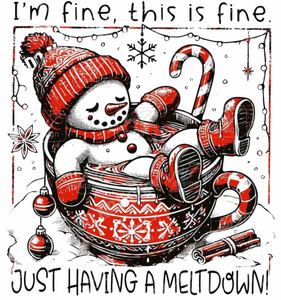 (2 Qty) I'm Fine, This Is Fine Just Having A Meltdown  DTF transfer