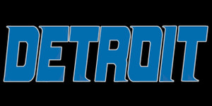 (Detroit Lions) Text for shirt Sleeve - custom DTF transfer (Detroit Lions) Text for shirt Sleeve - custom DTF transfer