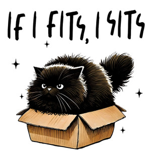 (2 Qty) If I Fits If I Sits DTF transfer