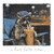 (2 qty) I Live Here Now Raccoon - DTF transfers