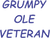 (2 Qty) Grumpy Ole Veteran - custom DTF transfer