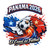 (2 Qty) Panama 2026 DTF transfer