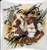 (48 Qty mix @4.99/PC) Saints Just a girl who loves to yell Who Dat -  DTF transfers