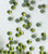 PERIDOT (Light Green) 3mm 10ss 2cut Premium Quality Loose Hot fix Rhinestone PERIDOT (Light Green) 3mm 10ss 2cut Premium Quality Loose Hot fix Rhinestone