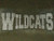 Wildcats Mascot Transfer 