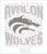  AVALON Wolves custom Rhinestone Transfer