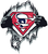 (2 Qty) Houston TEXANS inside Torn Shirt - custom Football sports DTF transfer