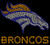 Broncos Horse football Rhinestone Transfer