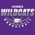 (6 Qty) HUMBLE Wildcats Basketball (purple white) - custom DTF transfer