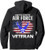 4th of July Pullover Hoodie – United States Air Force Veteran | Patriotic Independence Day | USA Flag Veteran Sweatshirt DTF