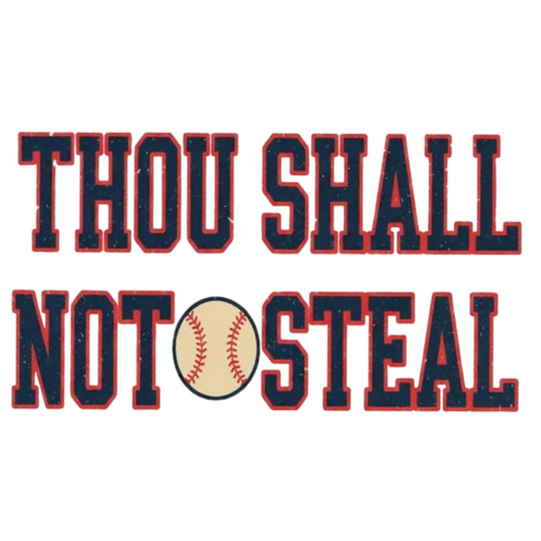 (2 Qty) Thou Shall Not Steal DTF transfer