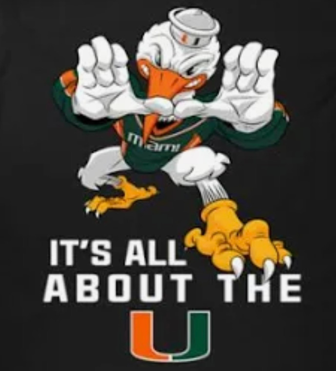(2 Qty) University of Miami - custom DTF transfer