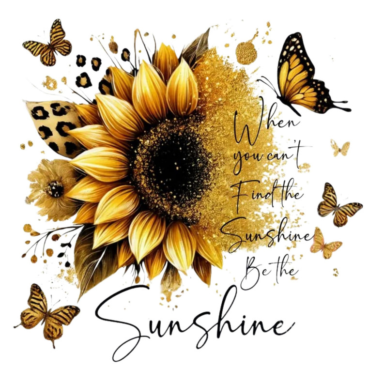 (2 Qty) When You Cant Find The Sunshine Be The Sunshine DTF transfer