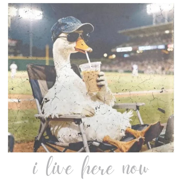 (2 qty) I Live Here Now - DTF transfers