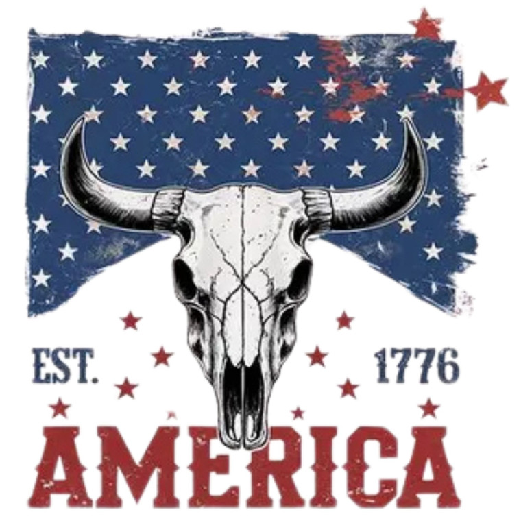 (2 qty) EST America 1776 - DTF transfers