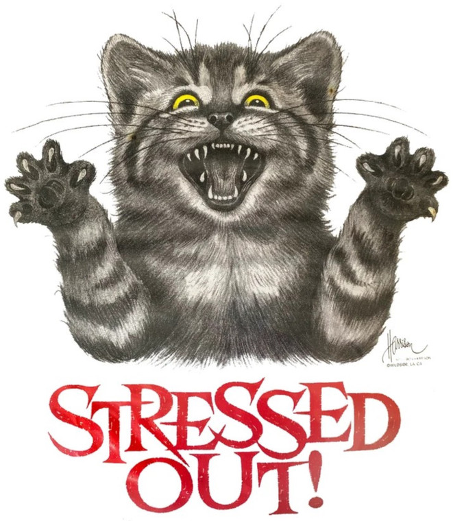 Stressed out Cat - custom DTF transfers