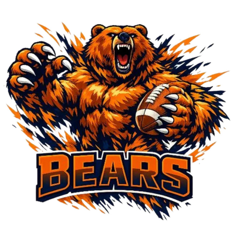 (2 Qty) Bears DTF transfer