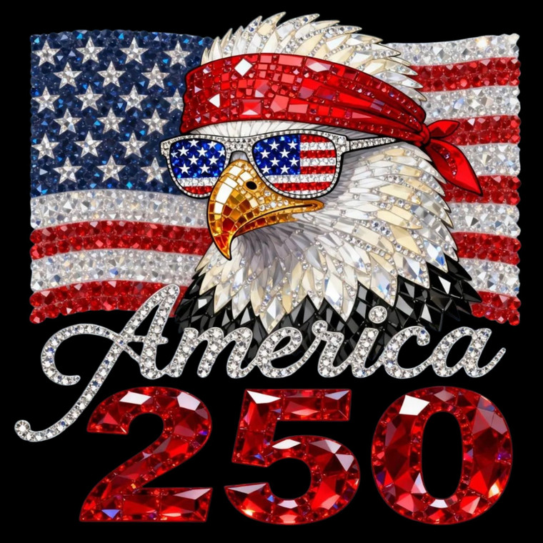 (2 Qty) USA Eagle 250 - DTF transfer