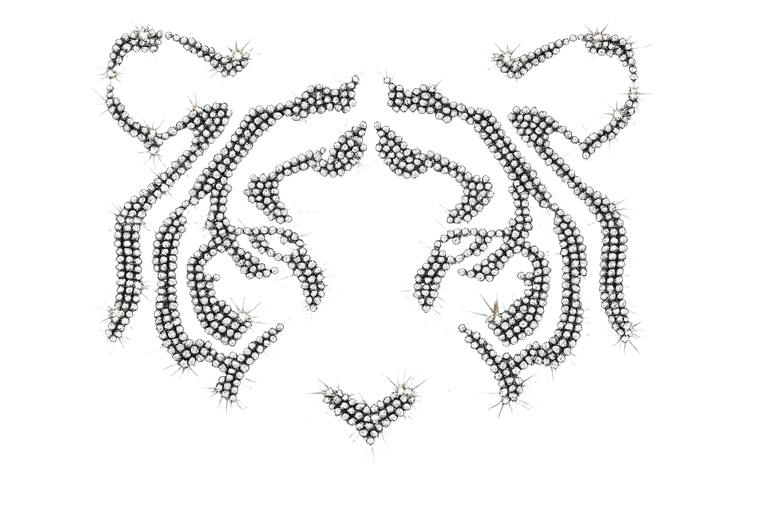 Tiger Face front (Clear) Rhinestone Transfer