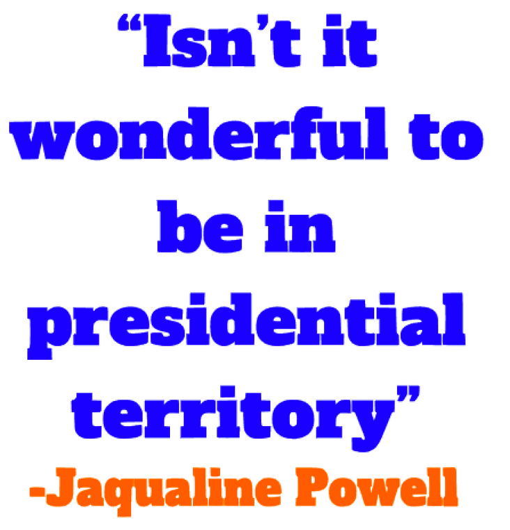 Isn't it Wonderful presidential territory - WWHS custom  vinyl transfer