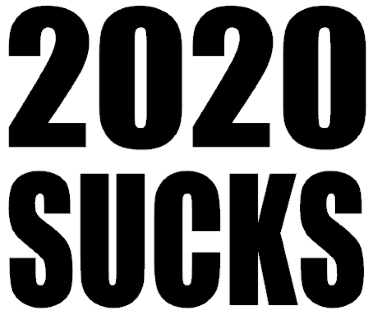 2020 SUCKS - Vinyl Transfer