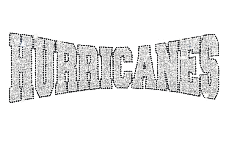 Hurricanes Mascot Rhinestone Transfer Iron On