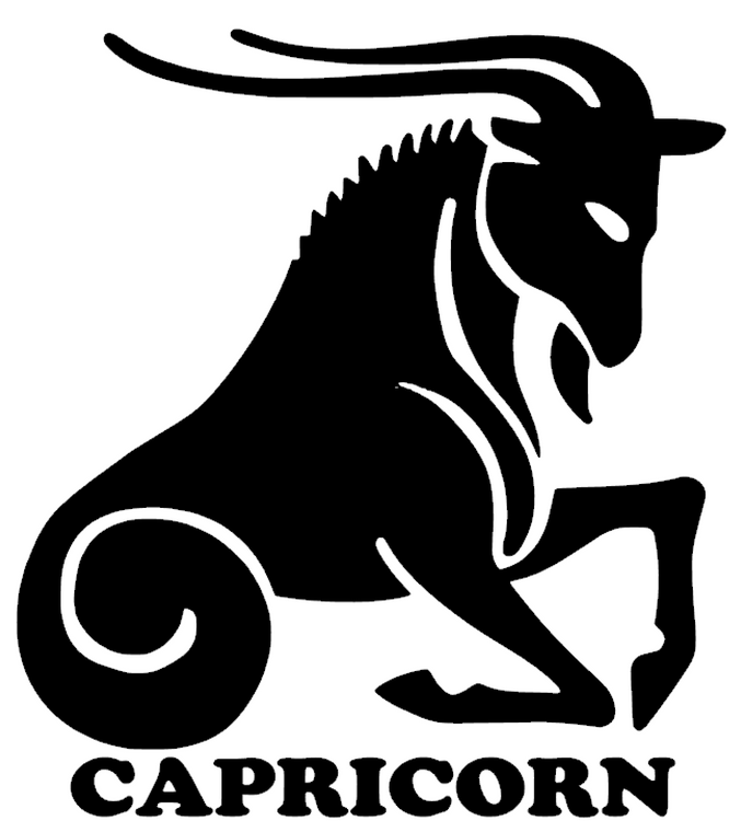 (2 Qty) CAPRICORN Zodiac horoscope DTF Transfer