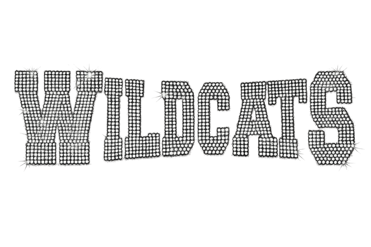 Wildcats Mascot Transfer 