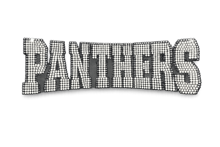 Panthers Mascot Rhinestone Transfer Iron On