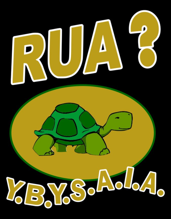 (2 QTY) RUA TURTLE - custom vinyl transfer