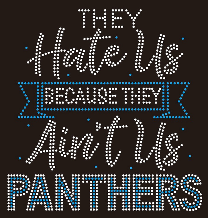 PANTHERS They Hate us Because they Ain't Us football - custom rhinestone transfer