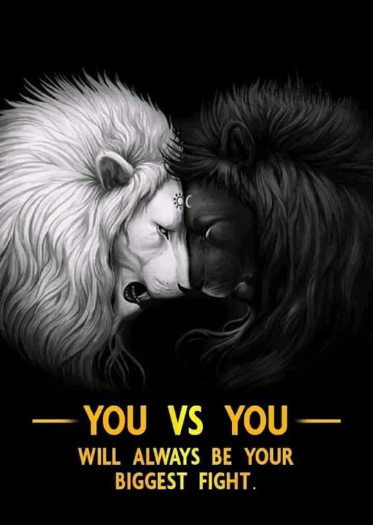 Two Lions (You vs You) - DTF transfer 