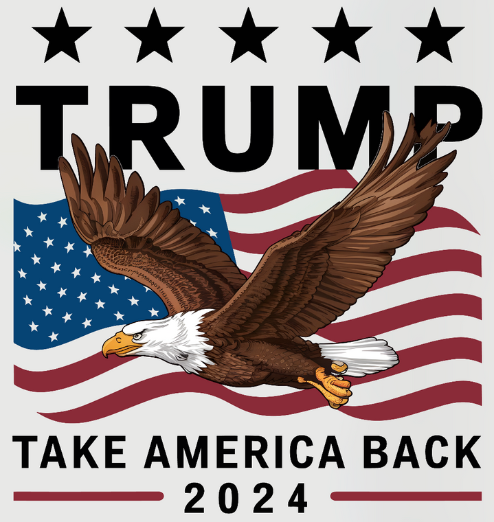 (2 Qty) Trump Eagle USA Flag Take America Back - custom DTF transfer