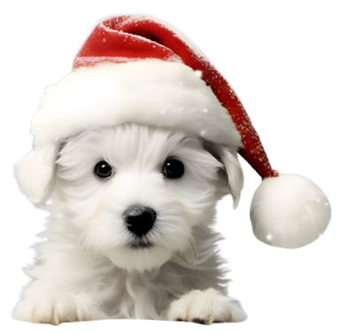 Santa Dog Christmas DTF transfer