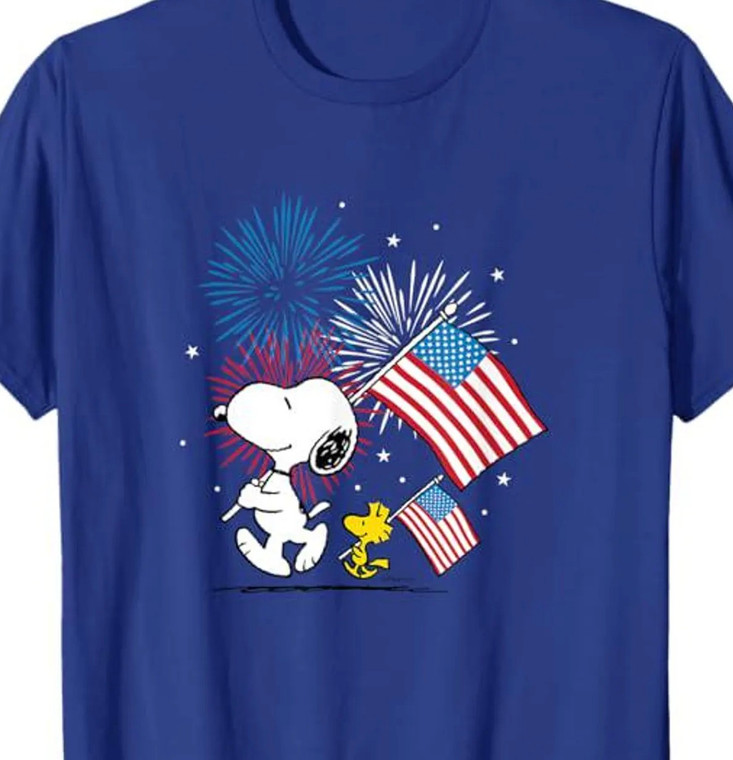 Copy of (2 Qty) Land Free Brave 4th of July 4th - DTF transfer