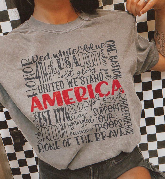(2 Qty) USA 4th of July words - DTF transfer