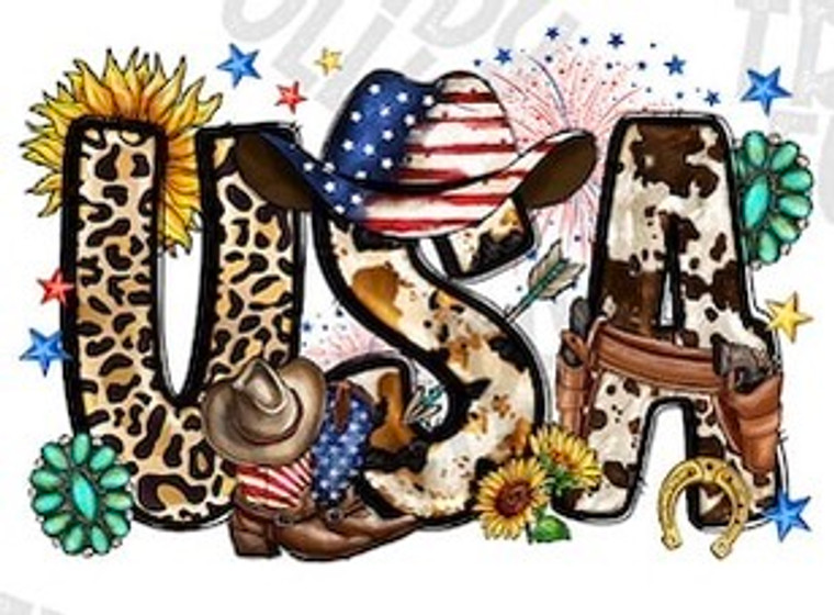 (2 Qty) 4th of July USA Leopard - DTF transfer