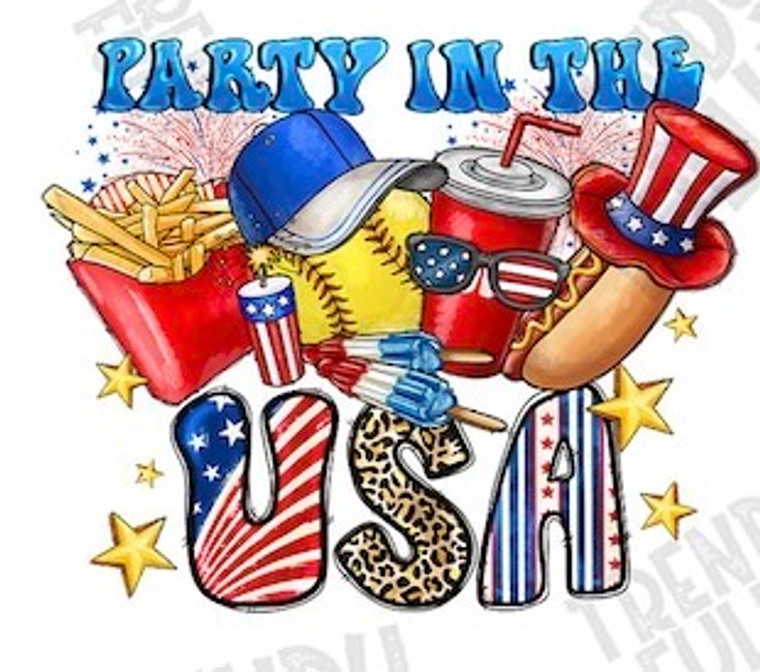 (2 Qty) Party in the USA 4th of July - DTF transfer