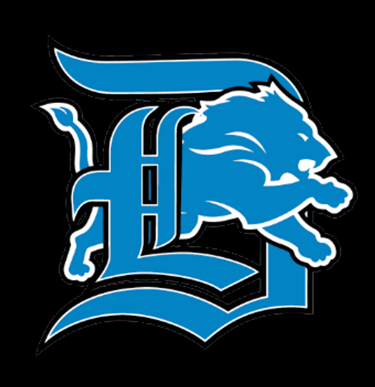 (2 Qty) Lions jumping through D Detroit - custom sports DTF transfer (2 Qty) Lions jumping through D Detroit - custom sports DTF transfer